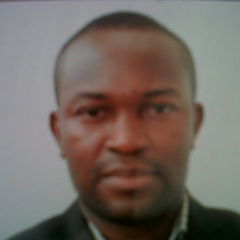 Oluyinka Adedeji, Principal Consultant