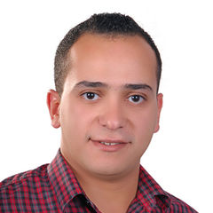 Mohamed Ramadan  Mahmoud Mohamed, Field Service Engineer