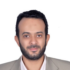Mohamed Samir Faroukh, Financial Manager