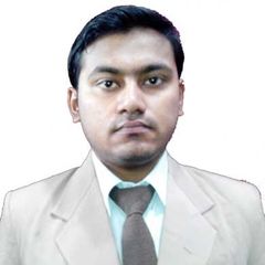 Abhinav Agarwal, Operational & Financial Internal Auditor