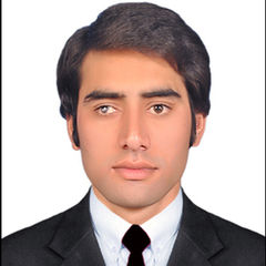 Mohammad Anwar, data analyst