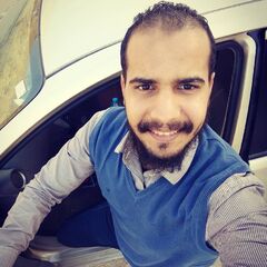 Hussein Messallam, Web Developer