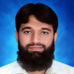 Muhammad hasan idrees حسن, as a mics superwisor in project unit