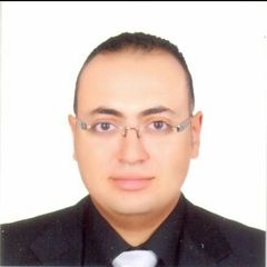 karim Elmamlouk, Electrical Engineer