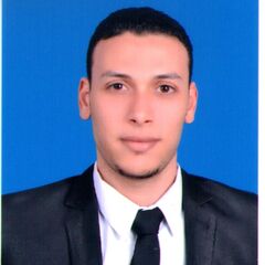 Mahmoued elzohery, سكرتير تنفيذي