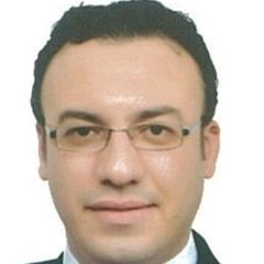 Ramy sabek, CHANNEL MANAGER