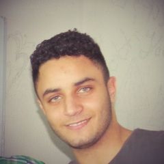 Mahmoud Elsheshtawy