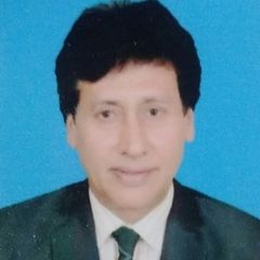 parvez Arif, Deputy Director