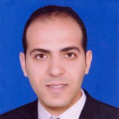 مصطفى إبراهيم, accounting supervisor