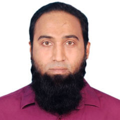 Ariful Haque عارف, Software Engineer