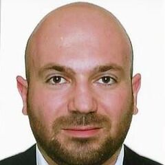 Ramzi Bou Khalil, Business consultant