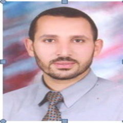 Wael Al-Ansary