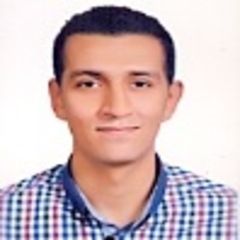 Sherif AbdelKhalik, مهندس برمجيات