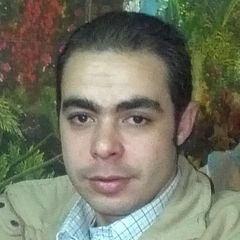 عمرو صادق, Systems administrator