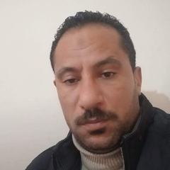 mohmed mohmed hassen elhamrawy,  Driver
