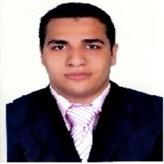 مصطفى النحاس, Junior Software Developer