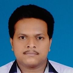 Raghavendra  Narasegowda