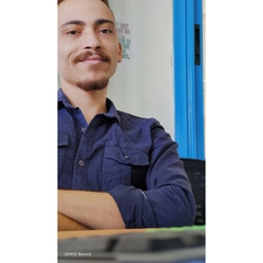 Hesham Mahmoud Mahmoud