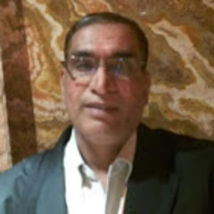 Srinivasan  Krishnamoorthy, Freelance IT consultant
