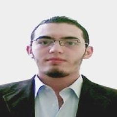 عمرو محمد قنديل, Technical support & supervision