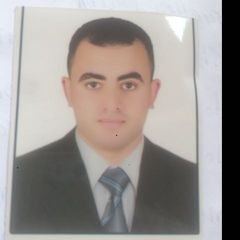 Mohamed  Abd Elhafez  , Hse specialist 