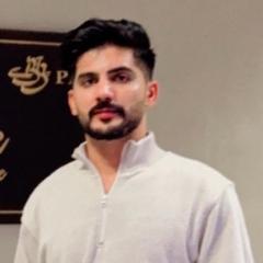 Waqar Mehmood