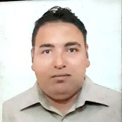 Ahmed Yousri, مدير مالي