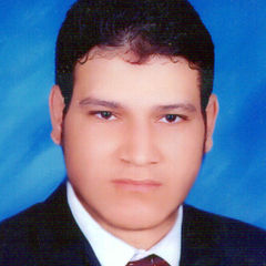 kamel mahmoud kamel ibrahim, Senior process chemist 