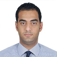 ahmed Ramadn, Assistant Finance Manager