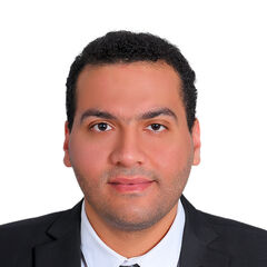 Abd Almonem Mohamed
