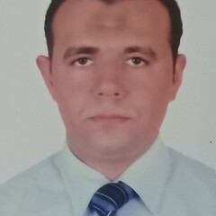 Wael Shalaby, مدير مبيعات وتسويق