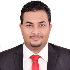 Hazem Rabee, Service Manager
