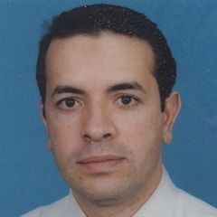 Abdul hafez al shorbagy, Senior Business & Systems Analyst