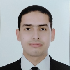Hazem  Abdelkader, R&D stability and methodology specialist 