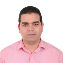 محمود صلاح عبد الحكيم خليفة, مدير الاحتياجات - مدير مشروع