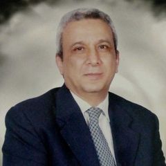 Osama Badawi, Technical Director