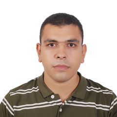محمود سيد زكى  ابراهيم, technical project manager, Electrical