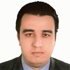Sameh Hussein Ali Ali, Team Leader .Net