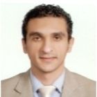 Ibrahem Mostafa Hanafy, Sales Manager