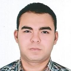 محمد صلاح حسنى ابو زيد, Chief accountant