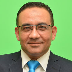 Mohamed Ibrahim Abou El Atta Ismail Fitian, Sales Manager