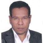 ظريف صادق, Projects manager