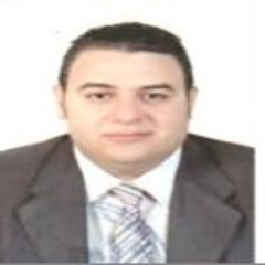 Adham Ahmed Awad EL Menshawy, Technical Sales Engineer
