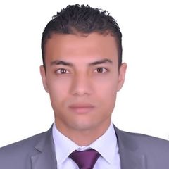 Mohamed Ibrahim Ahmed Abdallah, محاسب مراجع حسابات