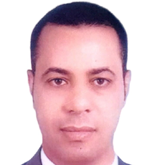 أحمد صالح, Chief Accountant