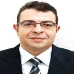 Abd Elhamed Mohamed Abd El Aziz, محاسب عام