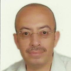 Abdelrahman Almansour, Principal - Contracts
