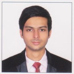 Syed Kazmi, Sales Executive