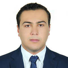 Mohammed Abdel wahab Ali, Sales Representative