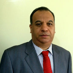 رضا سليمان, Sales Manager